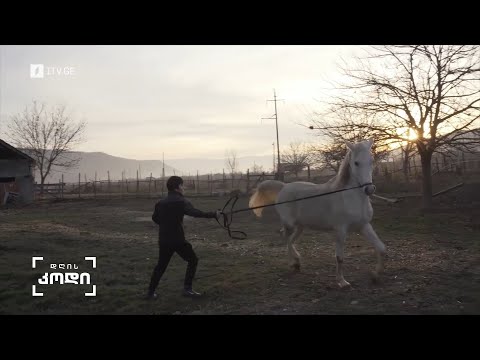 “ხეობის ხმები” - მულტიმედიური პროექტი