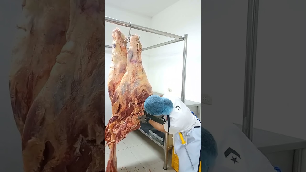 Deboning Hind Quarter of Beef 