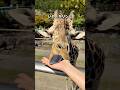 0距離動物園が可愛楽しすぎた😆✨