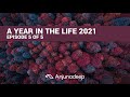 A Year In The Life Of Anjunadeep | EPISODE 5 OF 5