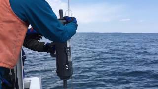 Sea water sampling for phytoplankton analysis using a NISKIN bottle (retrieve on R/TV Tachibana)