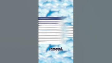 Dolphin Steam Update