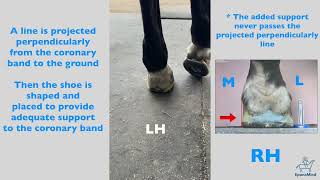 Peripheral Shoe Fitting or Trimming and Fitting Shoes to Bony Landmarks?