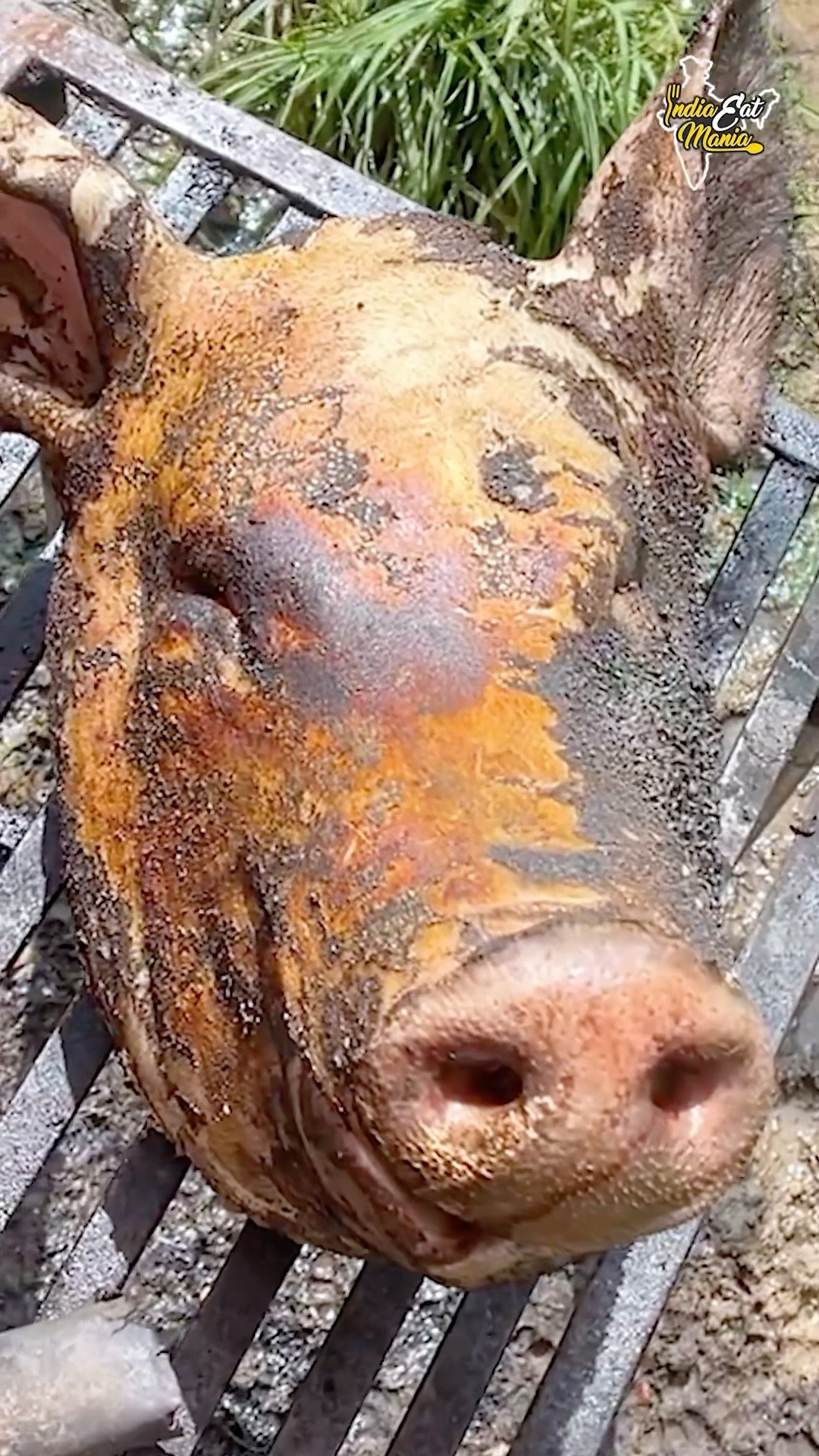 Adivasi Style Pork Meat Making In Ranchi Rs. 120/- Only #jharkhand #shorts