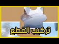 شرح عن حدث ألبومات الحقل الثلجي النجاة في الصقيع Whiteout Survival