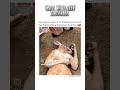 DAVE CHAPPELLE...THE KANGAROO #short #shorts #lol