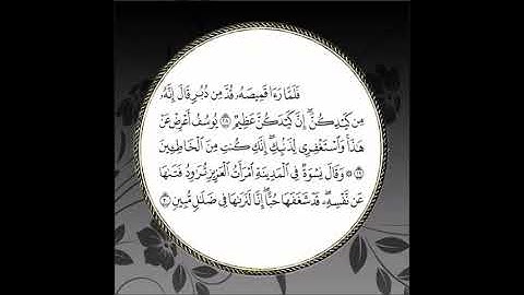 سورة يوسف مكررة آية : ( 28 إلى 30 )