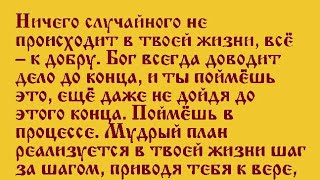 Джексон хоть и собака но как и человек имеет характер. Джексон хоть и собака но как и человек имеет характер.