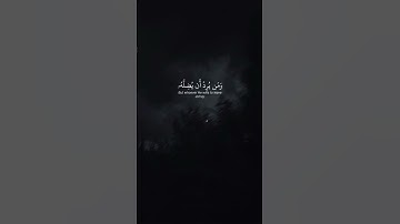 فَمَن يُرِدِ اللَّهُ أَن يَهْدِيَهُ يَشْرَحْ صَدْرَهُ لِلْإِسْلَامِ  (125 سورة الانعام_ياسر الدوسري