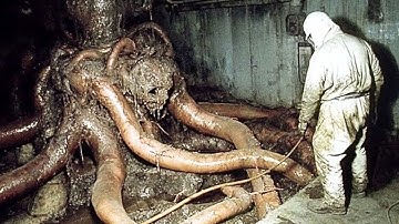 Top 10 Mysterious Animal Mutations Scientists Can’t Explain