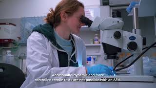 NanoTens – A Nano-Tensile Testing Device for Investigating Viscoelastic Material Properties