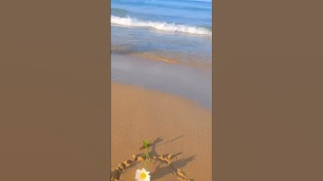 يُوفُونَ بِالنَّذْرِ وَيَخَافُونَ يَوْمًا كَانَ شَرُّهُ مُسْتَطِيرًا[ سورة الإنسان 7] #تلاوات_خاشعة