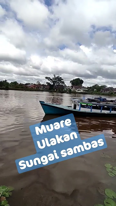SUNGAI SAMBAS ciri khas kota sambas #shortvideo #kalbarinformasi #sambasberkemajuan #wisata