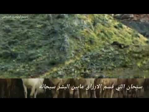 قصيده جا نصيبي من حلال أبي ٨٠٠ من الطليان