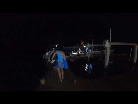 Dawn dive