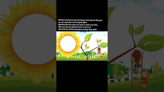 BP xây dựng trường học thân thiện hạnh phúc theo hướng tiếp STEAM #mamnon #thuyettrinhmamnon