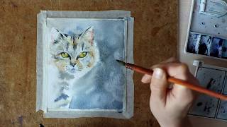 Картина акварелью Зеленоглазый кот. Speed painting Картина акварелью Зеленоглазый кот. Speed painting