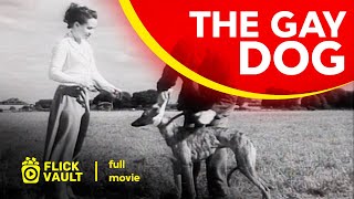 Download Lagu The Gay Dog | Full HD Movies For Free | Flick Vault MP3