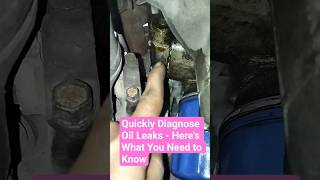 Quickly Diagnose Oil Leaks - Here's What You Need to Know #oilchange #checkengine #autosafe #oilwash