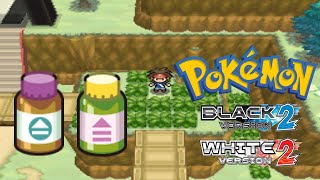 How To Get All The Pp-Up And Pp-Max In Pokemon Black 2 & White 2