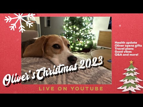 Oliver's 2023 Christmas livestream; opening his FIRST CHRISTMAS PRESENT of the season!