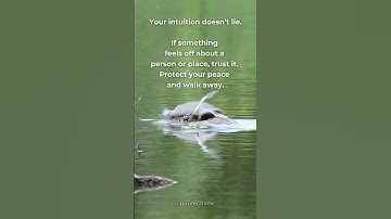 Listen to the Warning Signs Within #shorts #life #intuition #quotes #motivation  #sad #love #growth