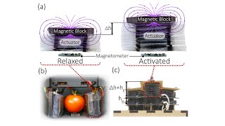 AMTL - Embedded Magnetic Sensing for Feedback Control of Soft HASEL Actuator screenshot 3