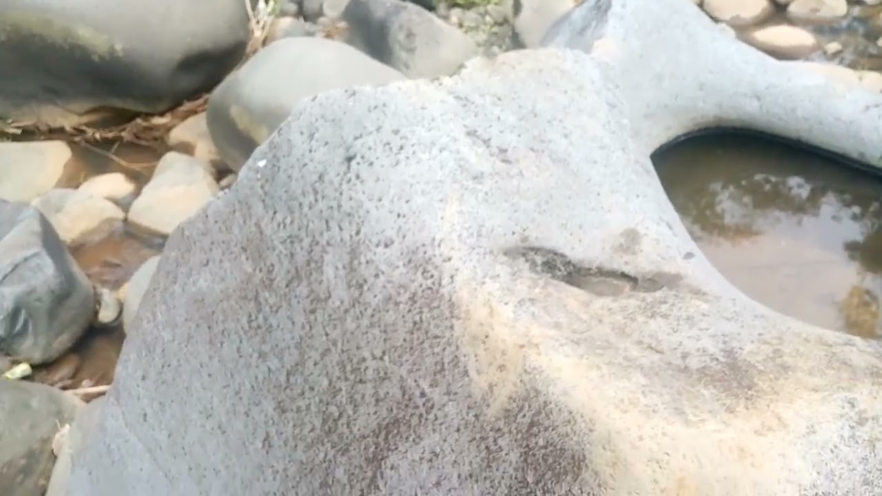 Quick deposit our Sucker load