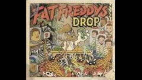 fat freddy's drop - the raft