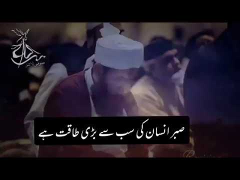 Sabr Insan Ki Sabse Badi Taqat || Islamic Whatsapp Status Video || Molana Tariq Jameel Sahab Quotes