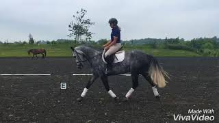 Archie flatwork