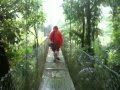 Arenal hanging bridgesmov