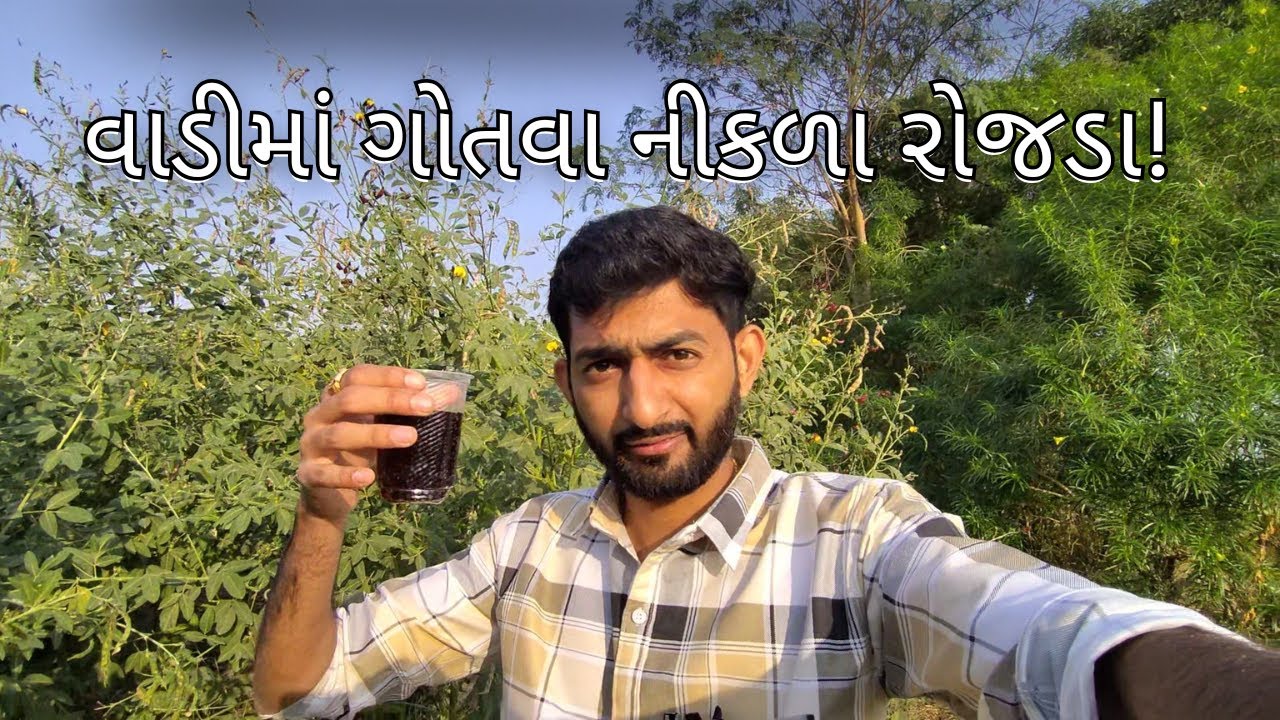 વાડી માં રોજડા ગોતવા નીકળા 😱 | At village near Rajkot | Gujarati vlog video | Gujarati vlogger