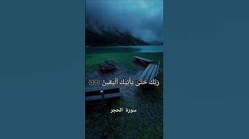 تلاوة هادئة ومؤثرة جداً بصوت الشيخ ياسر الدوسري♡