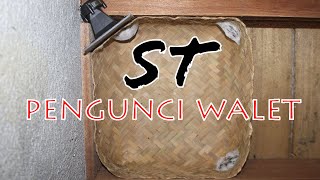 Suara Tarik Pengunci Walet