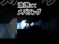 メバル釣りをしてると後ろから視線を感じる... #釣り #メバリング