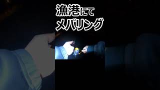 メバル釣りをしてると後ろから視線を感じる... #釣り #メバリング