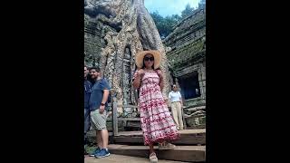 សៀមរាបប្រាសាទតាព្រហ្ម #original #video #travel #love #like #nature