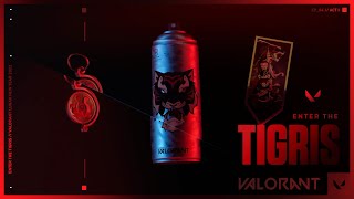 Enter the Tigris // VALORANT Skin Bundle Theme Music (Birdz - Wuki)