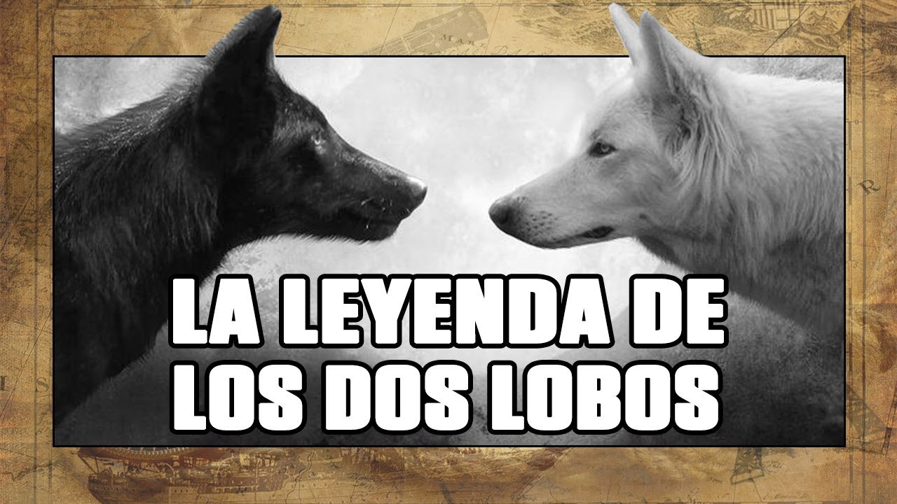 La LEYENDA CHEROKEE de los DOS LOBOS | ? (EXPLICACIÓN: EPICA - FREEDOM -  THE WOLVES WITHIN) - YouTube