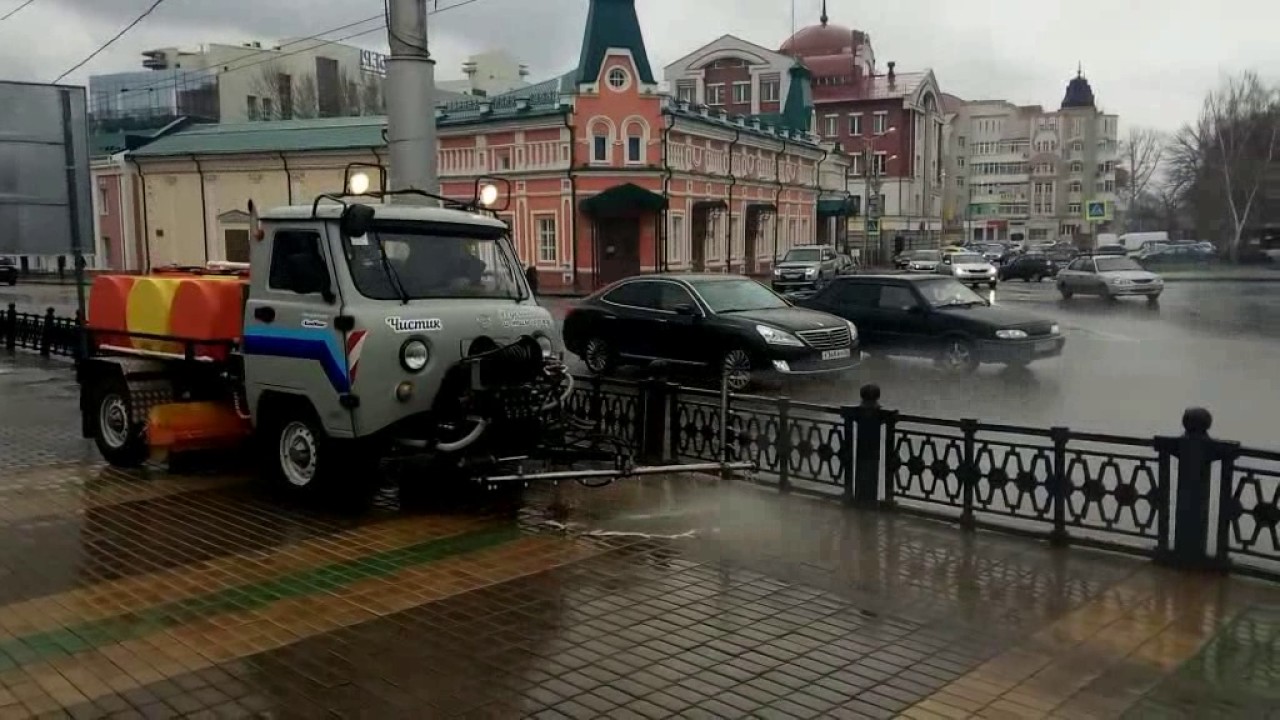 Рыжики на машине это