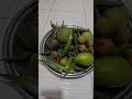 Harvesting vegetables and fruits from my garden #cookingisfun #food #mycooking #cookingvideo
