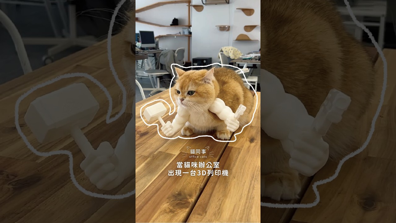 貓 × 3D列印機🖨️ 縮圖