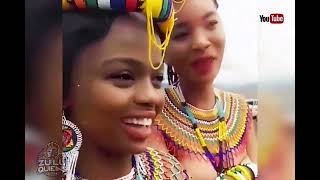 African Zulu Maidens - Zulu Queens 