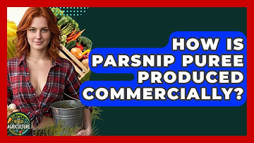 How Is Parsnip Puree Produced Commercially? - The World of Agriculture
