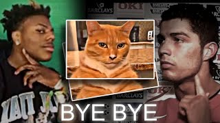 Mewing (Lookmaxxing) 🤫🗿 Cat mewing #byebye