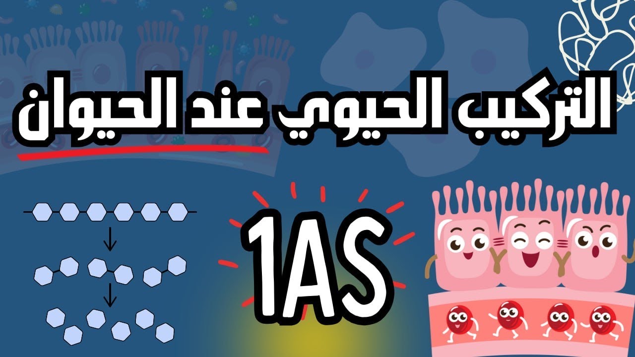 مصدر المادة الضرورية للتركيب الحيوي عند الحيوان 😎 /أولى ثانوي +فهم مضمون ✅