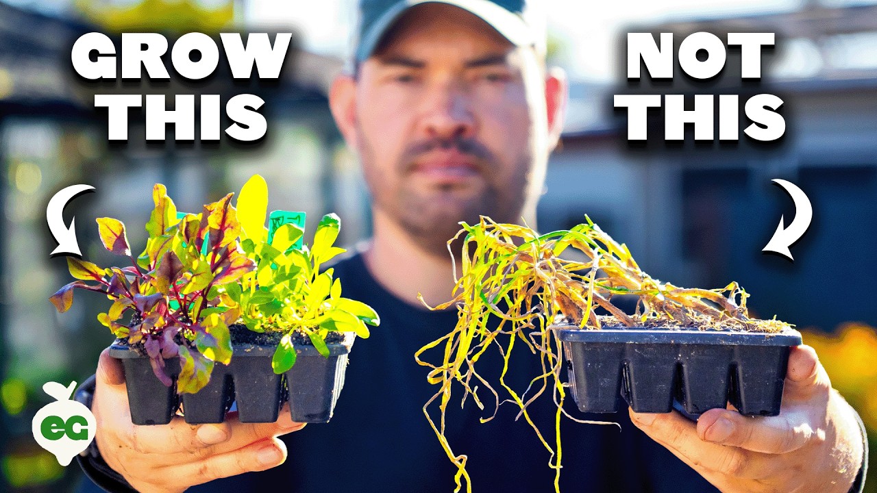 Watch This Before You Start Seeds