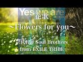 【歌詞付き】 花歌 ~Flowers for you~/三代目 J Soul Brothers from EXILE TRIBE 【リクエスト曲】