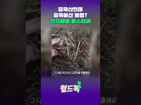 중국산인데 중국에서는 불법인 전자담배 #월드꽉 #콘제 thumbnail
